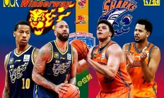 体育明星纷纷加盟篮球职业联赛，提升水平的简单介绍