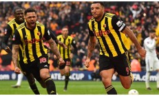 包含沃特福德买断英超射手，球队蓄力冲刺；球迷欣喜的词条