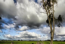 勇士外线火力全开，横扫对手取胜——篮球精神的极致展现