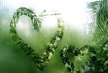 希腊女篮的巅峰之战：苦战八强，荣耀虽短但精神永存