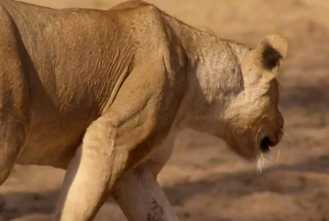 比赛中出现了不可思议的一幕